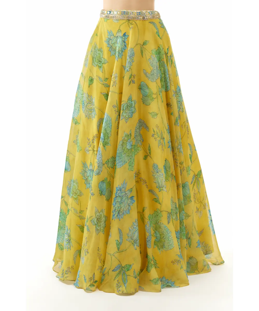 Gopi Vaid - Vandana lehenga set