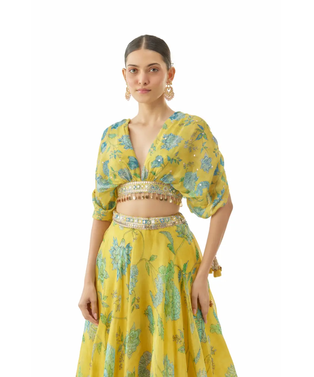 Gopi Vaid - Vandana lehenga set