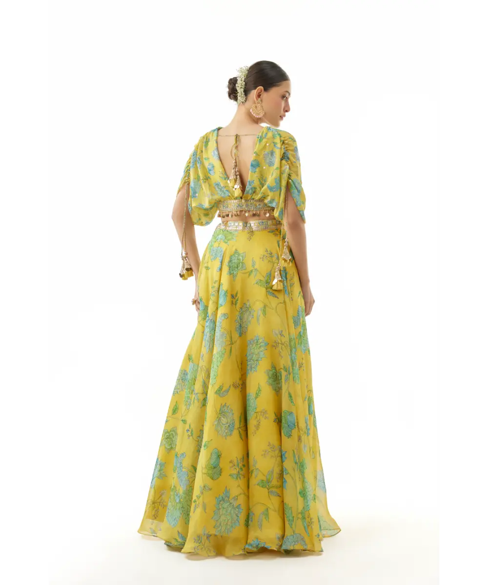 Gopi Vaid - Vandana lehenga set