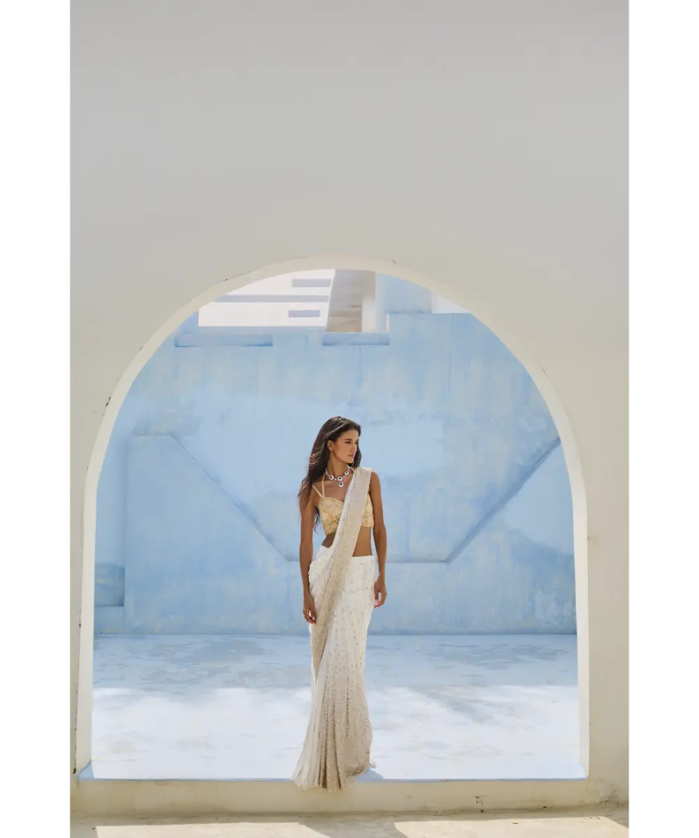 CHAMEE AND PALAK - Noor Pre-Drape Saree