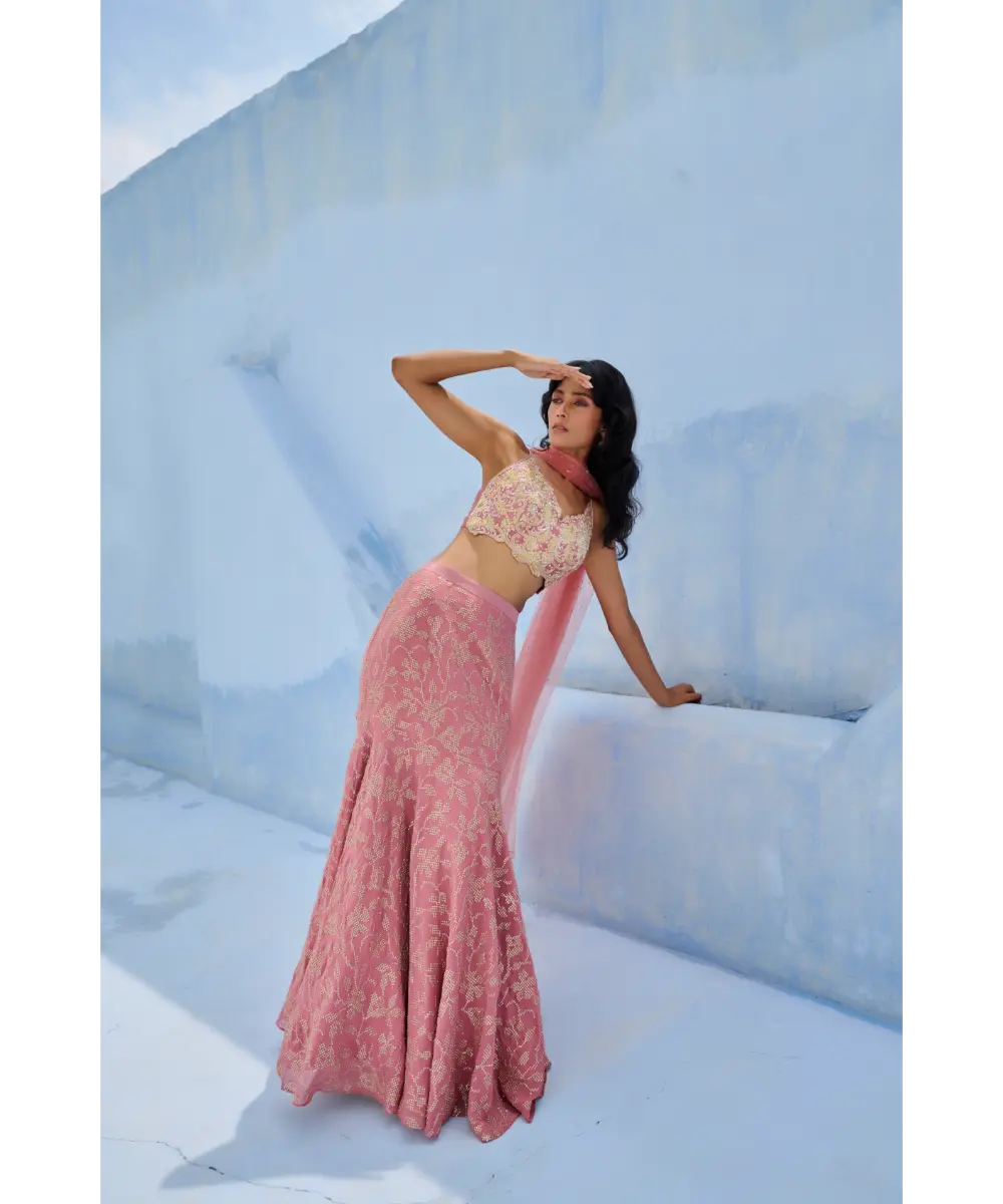 CHAMEE AND PALAK - Fiza Skirt