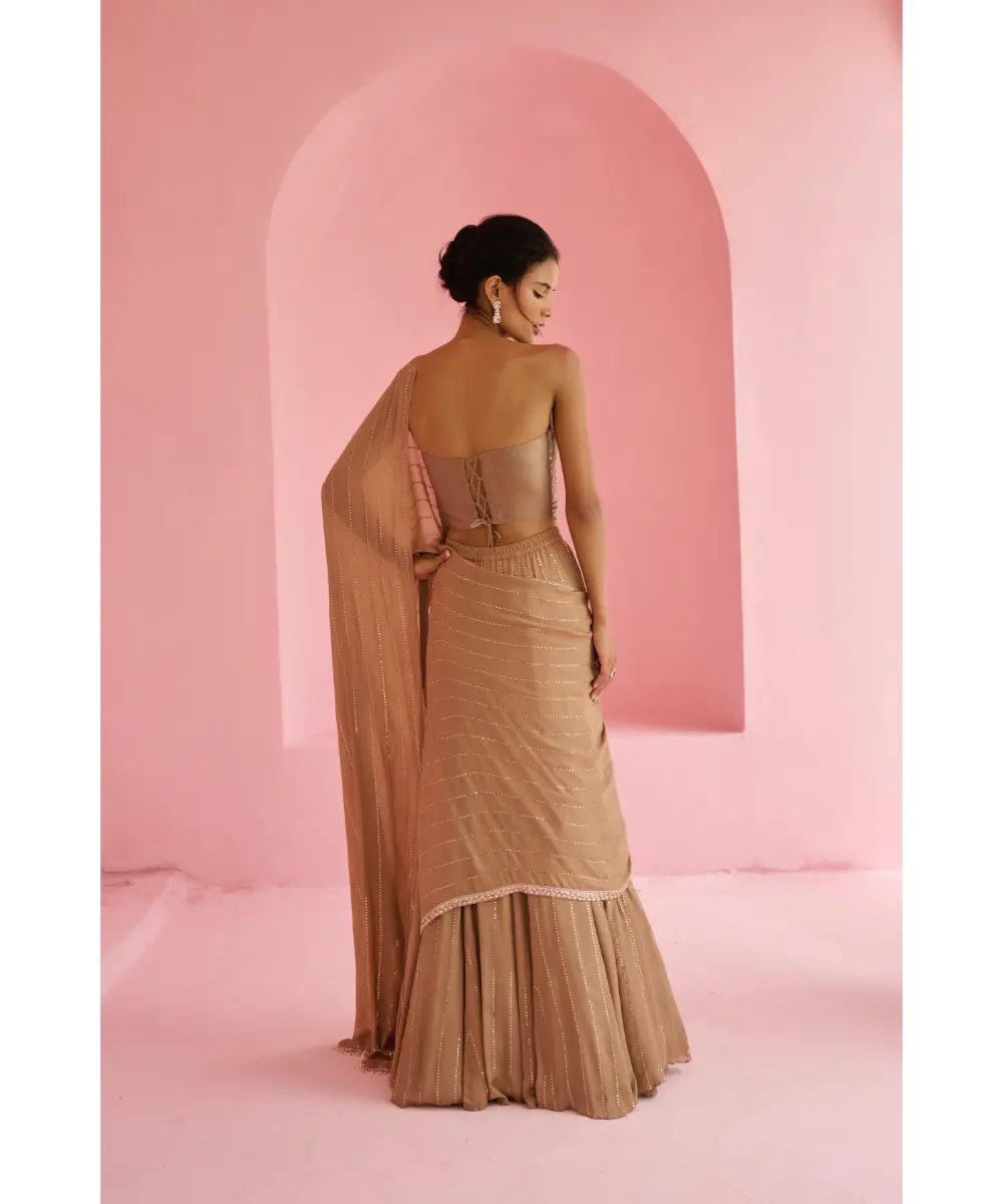 CHAMEE AND PALAK - Stella Pre-Drape Saree