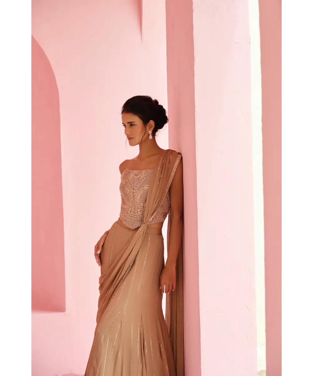 CHAMEE AND PALAK - Stella Pre-Drape Saree