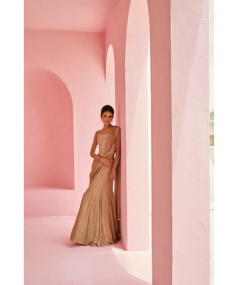 CHAMEE AND PALAK - Stella Pre-Drape Saree