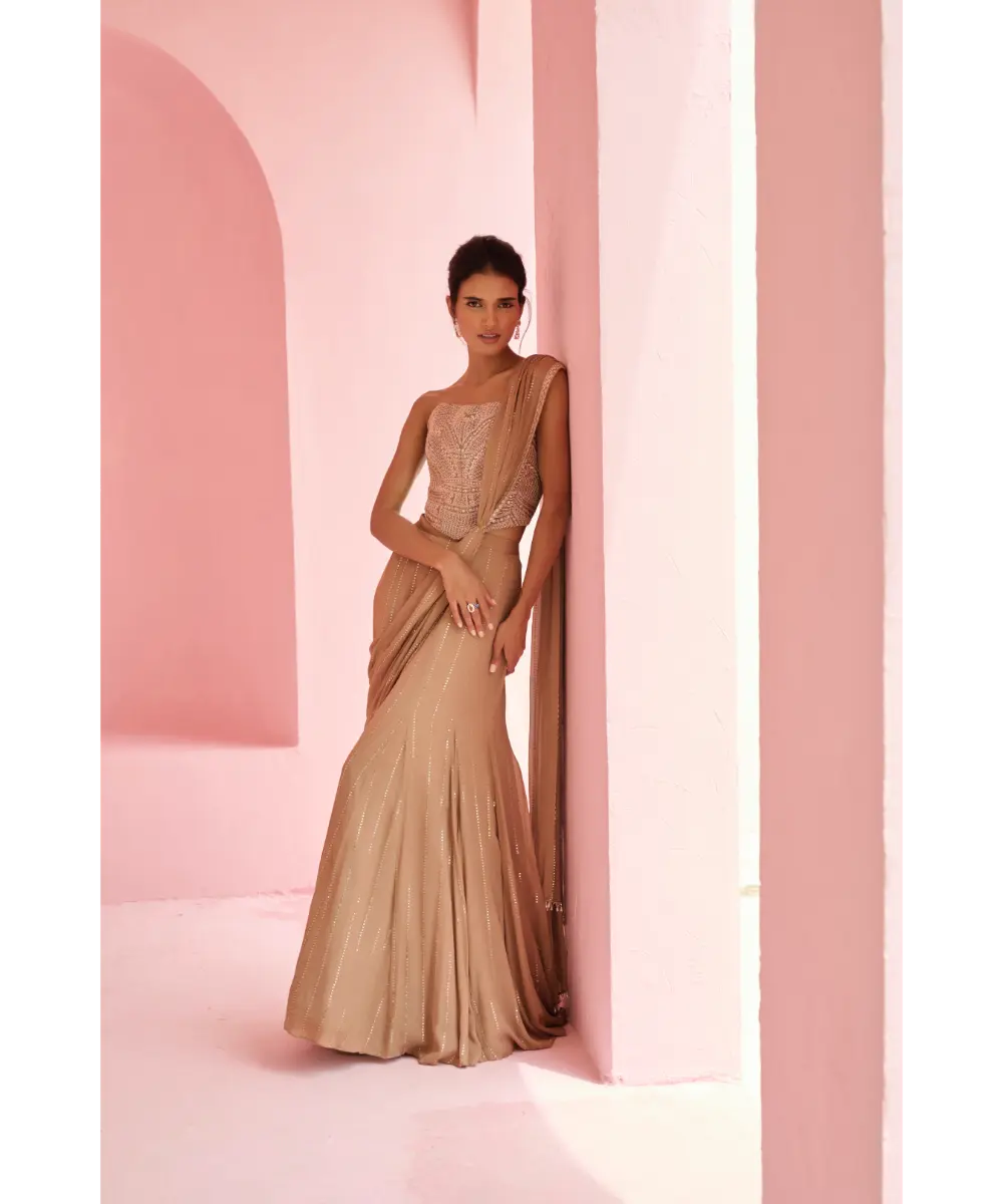 CHAMEE AND PALAK - Stella Pre-Drape Saree