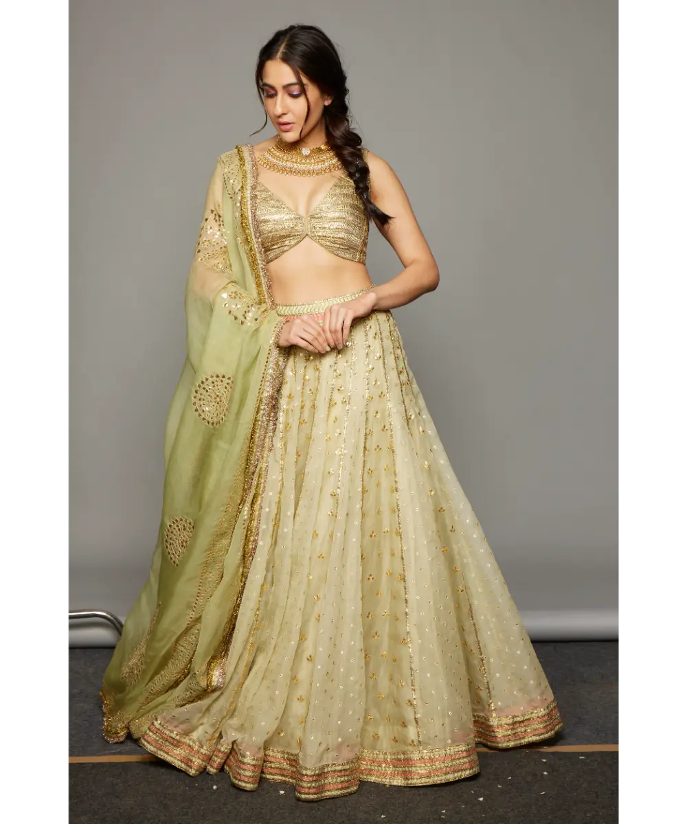 ITRH - Lehja Lehenga set