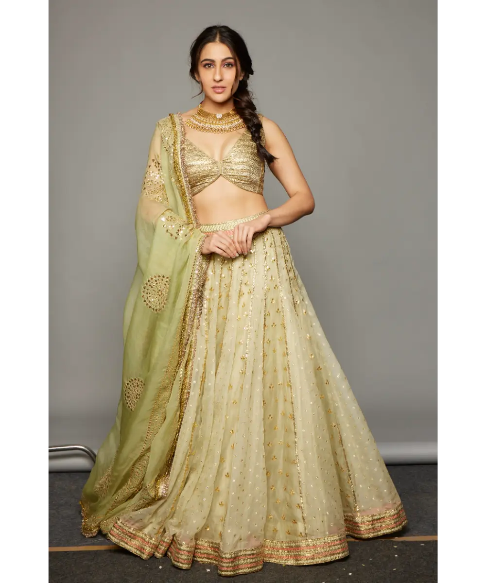 ITRH - Lehja Lehenga set